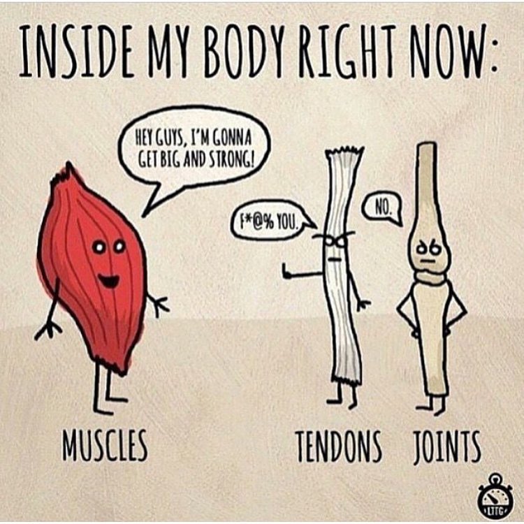 29095200_413618359066353_7229940477691166720_n